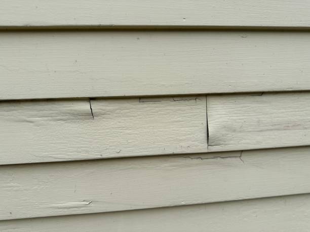 Affordable Siding Repair and Maintenance Services in White Horse, NJ